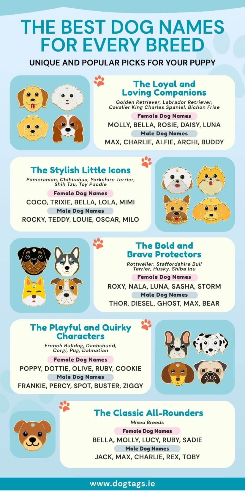 Popular dog names for breeds, ideal for personalised and engraved dog tags.